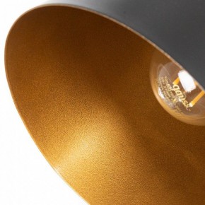 Бра Arte Lamp Thomas A7032AP-1BK в Лесном - lesnoy.mebel24.online | фото 10