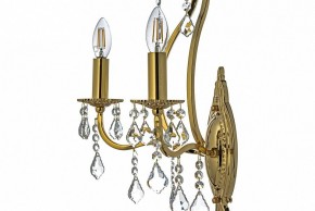 Бра Arti Lampadari Ercolano Ercolano E 2.1.2.602 G в Лесном - lesnoy.mebel24.online | фото 6