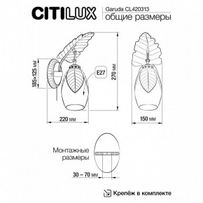 Бра Citilux Garuda CL420313 в Лесном - lesnoy.mebel24.online | фото 5
