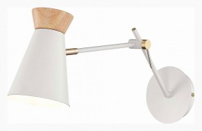 Бра EVOLUCE Alfeo SLE1252-501-01 в Лесном - lesnoy.mebel24.online | фото