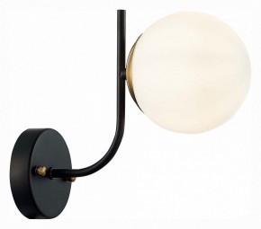 Бра EVOLUCE Ciane SLE1098-401-01 в Лесном - lesnoy.mebel24.online | фото 3