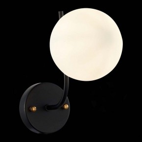 Бра EVOLUCE Ciane SLE1098-401-01 в Лесном - lesnoy.mebel24.online | фото 4
