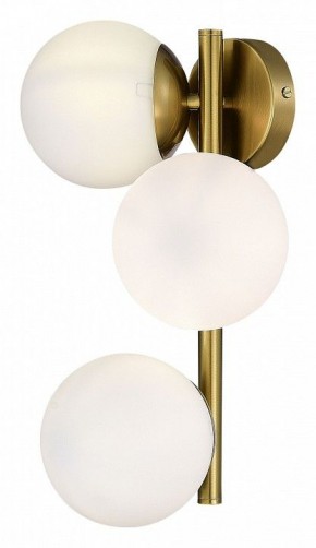 Бра EVOLUCE Fratta SLE1191-201-03 в Лесном - lesnoy.mebel24.online | фото 4