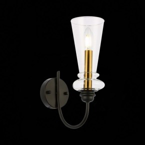 Бра EVOLUCE Rammo SLE112401-01 в Лесном - lesnoy.mebel24.online | фото 8