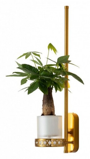 Бра Favourite Greenery 4050-1W в Лесном - lesnoy.mebel24.online | фото 3