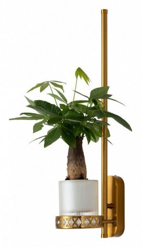 Бра Favourite Greenery 4050-1W в Лесном - lesnoy.mebel24.online | фото 4