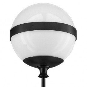 Бра Lightstar Globo 813617 в Лесном - lesnoy.mebel24.online | фото 3