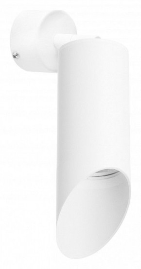 Бра Lightstar Rullo RB43636 в Лесном - lesnoy.mebel24.online | фото