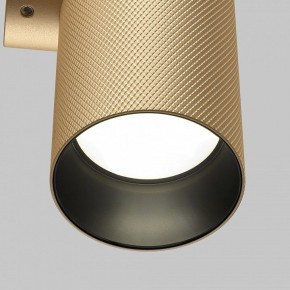 Бра Maytoni Artisan C080WL-02-GU10-MG в Лесном - lesnoy.mebel24.online | фото 6