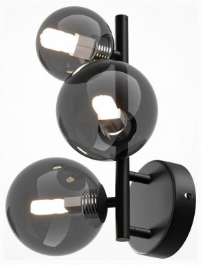Бра Maytoni Dallas MOD545WL-03B в Лесном - lesnoy.mebel24.online | фото 2