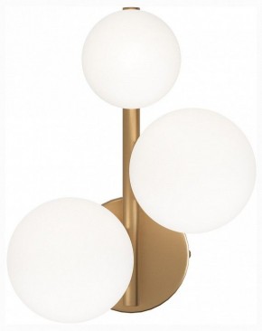 Бра Maytoni Dallas MOD545WL-03BS в Лесном - lesnoy.mebel24.online | фото
