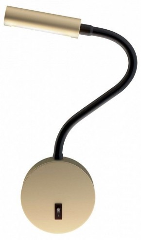 Бра Maytoni Stem C035WL-L3MG3K в Лесном - lesnoy.mebel24.online | фото