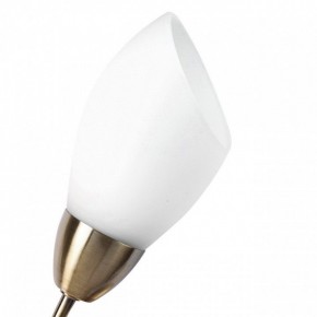 Бра MW-Light Нежность 7 356023001 в Лесном - lesnoy.mebel24.online | фото 2