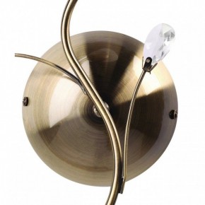 Бра MW-Light Нежность 7 356023001 в Лесном - lesnoy.mebel24.online | фото 3