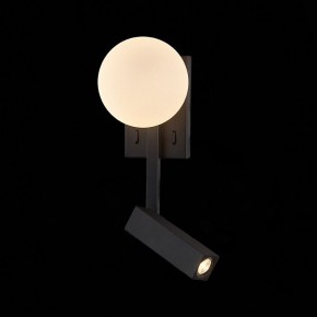 Бра с подсветкой ST-Luce Botelli SL1581.401.02 в Лесном - lesnoy.mebel24.online | фото
