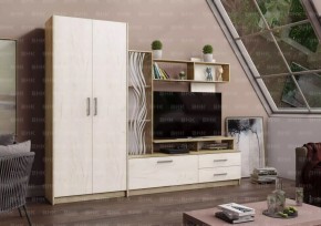 ДАРЬЯ Гостиная (Крафт серый/Крафт белый) в Лесном - lesnoy.mebel24.online | фото 1