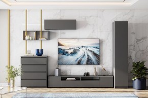 ДЕНВЕР Пенал (Графит серый) в Лесном - lesnoy.mebel24.online | фото 4
