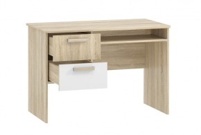 Детская Фанк Стол для компьютера НМ 009.19-05 М2 в Лесном - lesnoy.mebel24.online | фото 2
