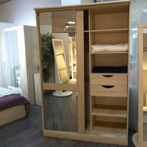 ДИАНА Д13 Шкаф-купе в Лесном - lesnoy.mebel24.online | фото 4