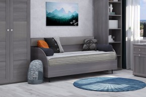Диван-кровать 900 Парма Нео в Лесном - lesnoy.mebel24.online | фото 4