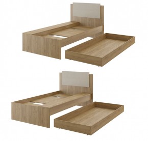 Дуглас (подростковая) М14 Кровать в Лесном - lesnoy.mebel24.online | фото 2