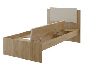 Дуглас (подростковая) М14 Кровать в Лесном - lesnoy.mebel24.online | фото 4
