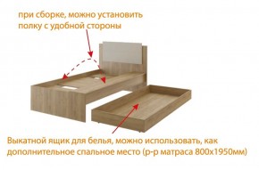 Дуглас (подростковая) М14 Кровать в Лесном - lesnoy.mebel24.online | фото 5
