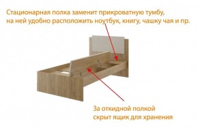 Дуглас (подростковая) М14 Кровать в Лесном - lesnoy.mebel24.online | фото 6