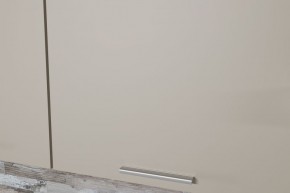 ДЮНА Кухонный гарнитур Экстра 2 (3000 мм) в Лесном - lesnoy.mebel24.online | фото 10