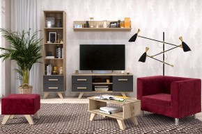 Гостиная Вега Скандинавия (комплект 5) в Лесном - lesnoy.mebel24.online | фото 2