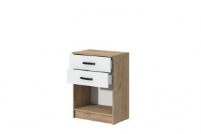 Комод Эконом (Дуб крафт золотой/Белый текстурный) в Лесном - lesnoy.mebel24.online | фото 2