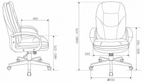 Кресло для руководителя CH-868N в Лесном - lesnoy.mebel24.online | фото