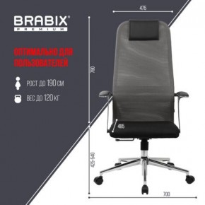 Кресло офисное BRABIX PREMIUM "Ultimate EX-801" хром, плотная двойная сетка Х2, черное/серое, 532918 в Лесном - lesnoy.mebel24.online | фото 5