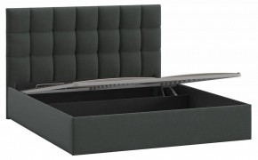 Кровать двуспальная Эмбер с ПМ в Лесном - lesnoy.mebel24.online | фото 3