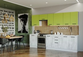 Кухонный гарнитур Гарда 3000 (Стол. 26мм) в Лесном - lesnoy.mebel24.online | фото