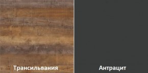 Кухонный гарнитур угловой Трансильвания 2400x1600 мм (Стол. 38 мм) в Лесном - lesnoy.mebel24.online | фото 3