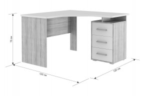 ЛАЙТ К4 Компьютерный стол в Лесном - lesnoy.mebel24.online | фото 6