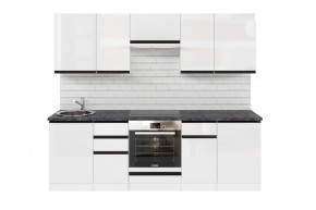 ЛОТОС Кухонный гарнитур Базис (2400 мм) в Лесном - lesnoy.mebel24.online | фото 3