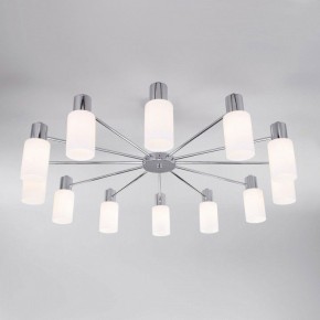 Люстра на штанге Eurosvet Vegga 70160/12 хром в Лесном - lesnoy.mebel24.online | фото 2