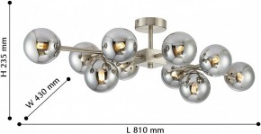 Люстра на штанге Favourite Varietas 2650-10U в Лесном - lesnoy.mebel24.online | фото 5