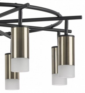 Люстра на штанге Lightstar Rullo LR7183181 в Лесном - lesnoy.mebel24.online | фото 4