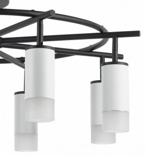 Люстра на штанге Lightstar Rullo LR7183681 в Лесном - lesnoy.mebel24.online | фото 4