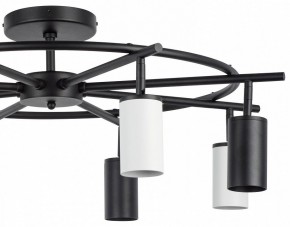 Люстра на штанге Lightstar Rullo LR718374364 в Лесном - lesnoy.mebel24.online | фото 4