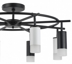 Люстра на штанге Lightstar Rullo LR7183743641 в Лесном - lesnoy.mebel24.online | фото 4