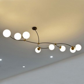 Люстра на штанге Lussole LSP-891 LSP-8914 в Лесном - lesnoy.mebel24.online | фото 3