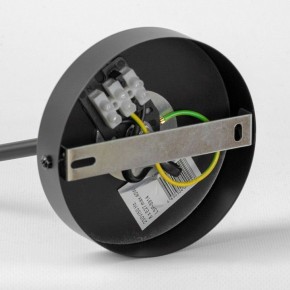 Люстра на штанге Lussole LSP-891 LSP-8914 в Лесном - lesnoy.mebel24.online | фото 4