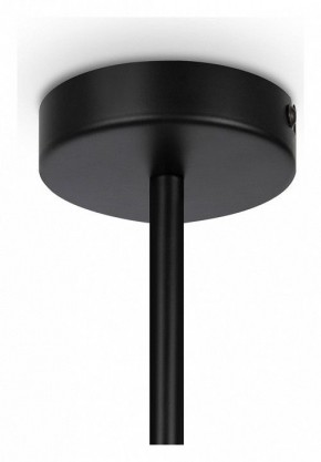 Люстра на штанге Maytoni Memory MOD177PL-04B в Лесном - lesnoy.mebel24.online | фото 4