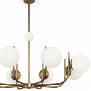 Люстра на штанге Maytoni Rendez-vous MOD109PL-08BS в Лесном - lesnoy.mebel24.online | фото 4
