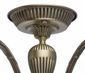 Люстра на штанге MW-Light Аманда 6 481011805 в Лесном - lesnoy.mebel24.online | фото 10