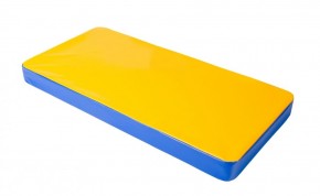Мат гимнастический 1х0,5х0,08м цв. синий-желтый в Лесном - lesnoy.mebel24.online | фото 1